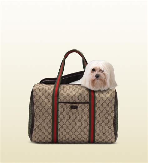 gucci dog carrier backpack|designer totes to carry dog.